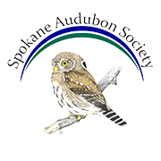 logo.gif